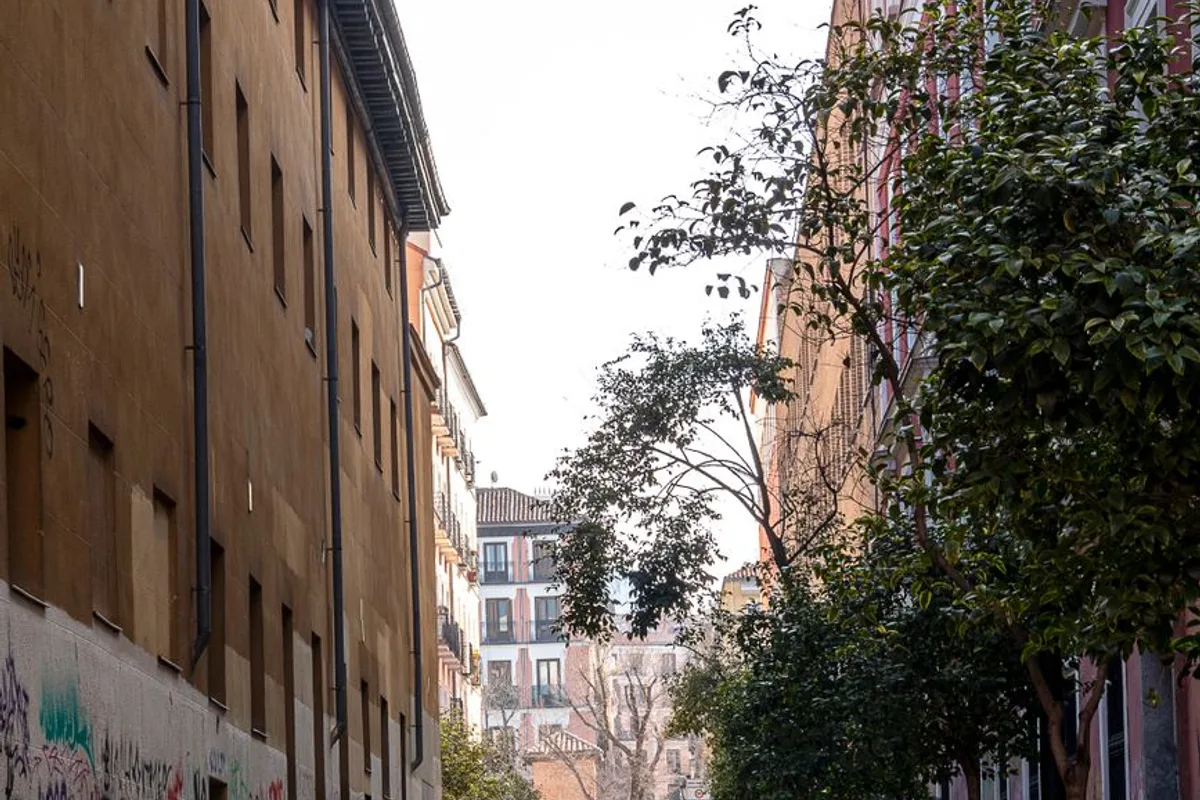 A quiet tree-lined street in the Barrio de las Letras district of Madrid